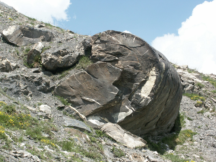 Pli au Sud de la crête de la Replatte